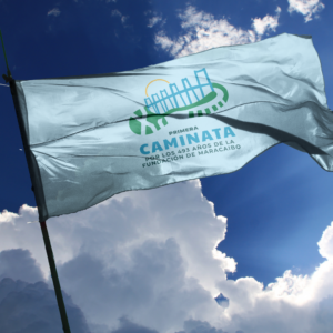 2 White Flag Waving in the Sky: Symbolism and Design